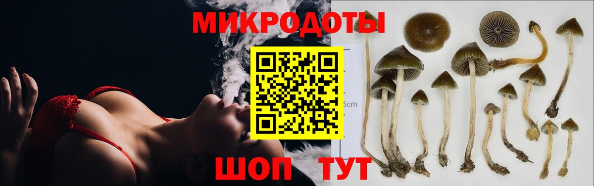 Кокаин  A-PVP  Мефедрон  Будённовск  Вход с VPN  Каннабис 